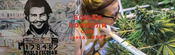 дживик Беломорск